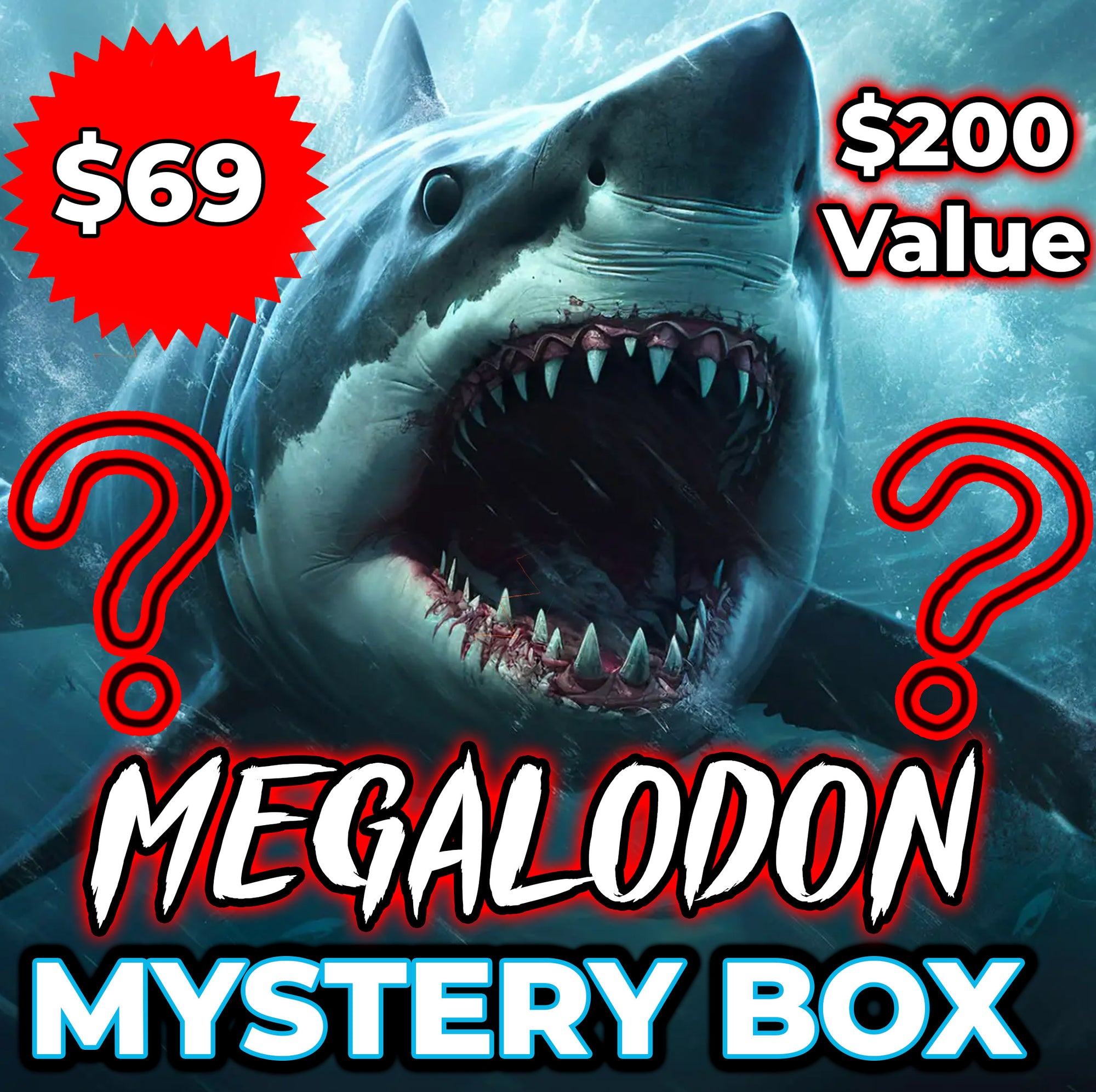 MEGALODON MYSTERY BOX!!