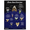 Florida Sharks Teeth Guide Blanket!