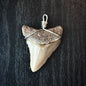Megalodon Shark Tooth Necklace | (Extremely Rare Florida Colors)