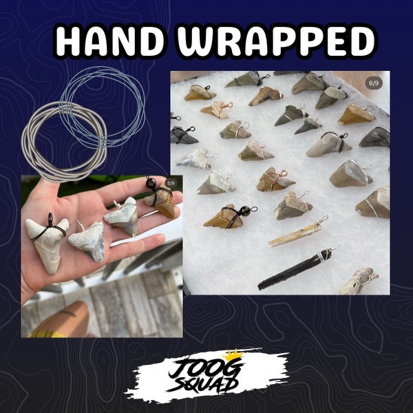 Megalodon Shark Tooth Necklace | (Extremely Rare Florida Colors)