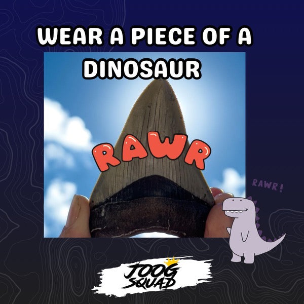 Megalodon Shark Tooth Necklace | (Extremely Rare Florida Colors)