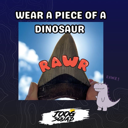 Megalodon Shark Tooth Necklace | (Extremely Rare Florida Colors)